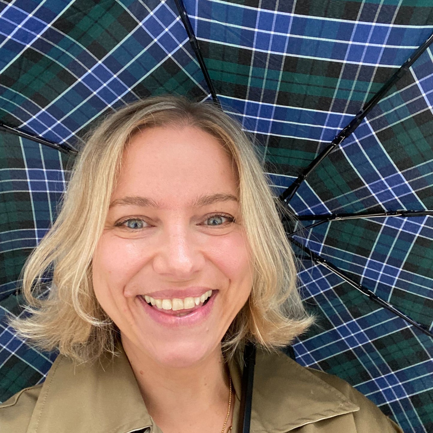 Tartan Umbrellas