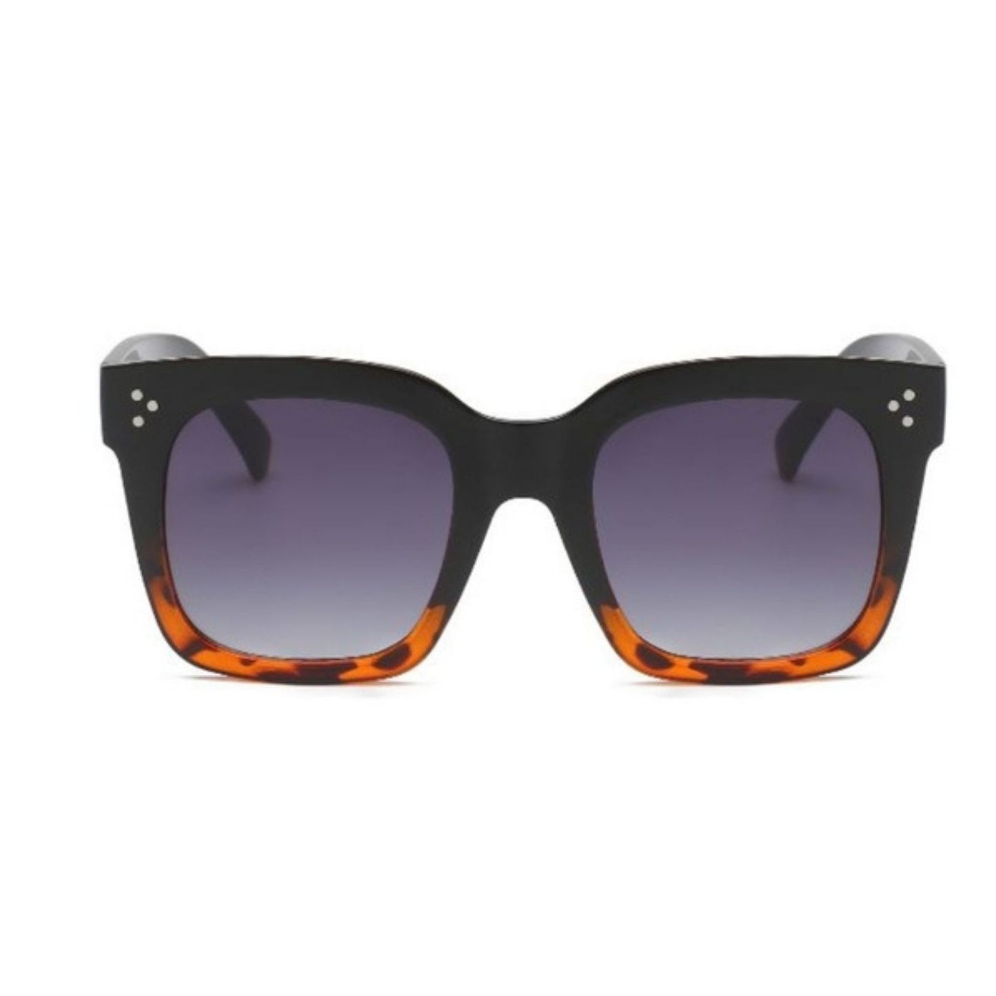 Wayfarer Ladies Sunglasses